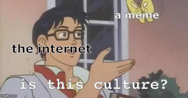 What are memes?